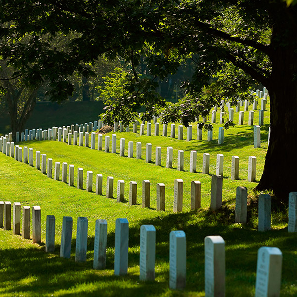 Cemeteries insurance, crematories insurance, and mausoleums insurance from Brownyard Group