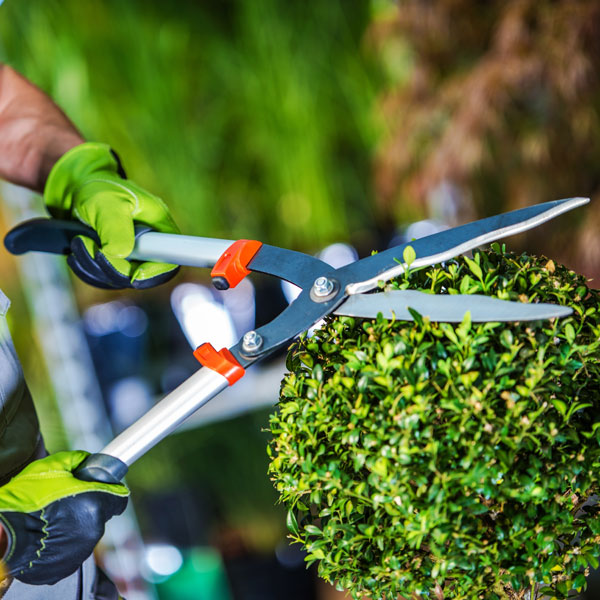 Lawncare Service Professionals Insurance