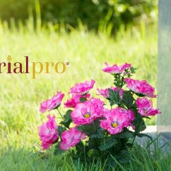 Brownyard Expands Memorialpro to 36 Additional States